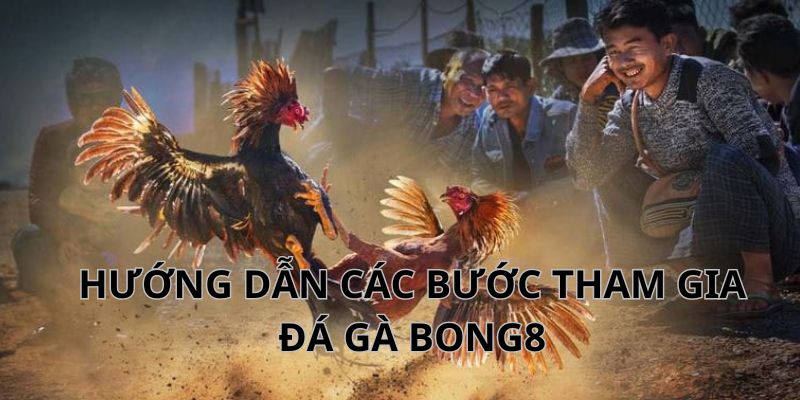 Tham gia đá gà tại Bong88 bằng các bước đơn giản